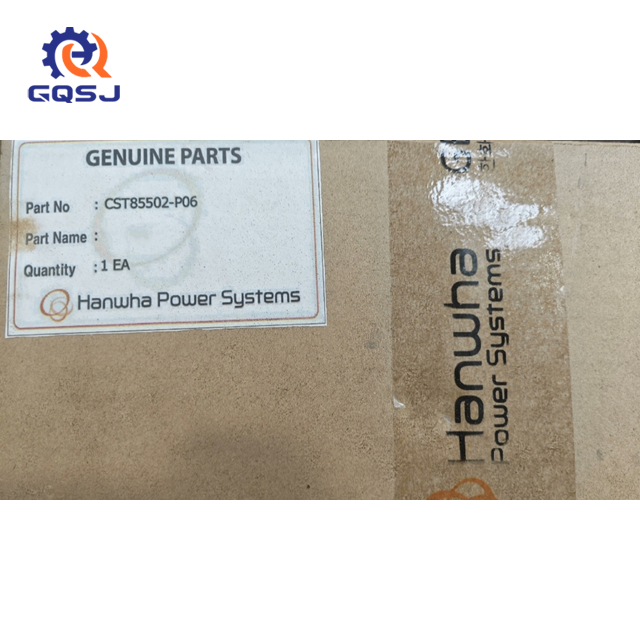 GST85502-P06